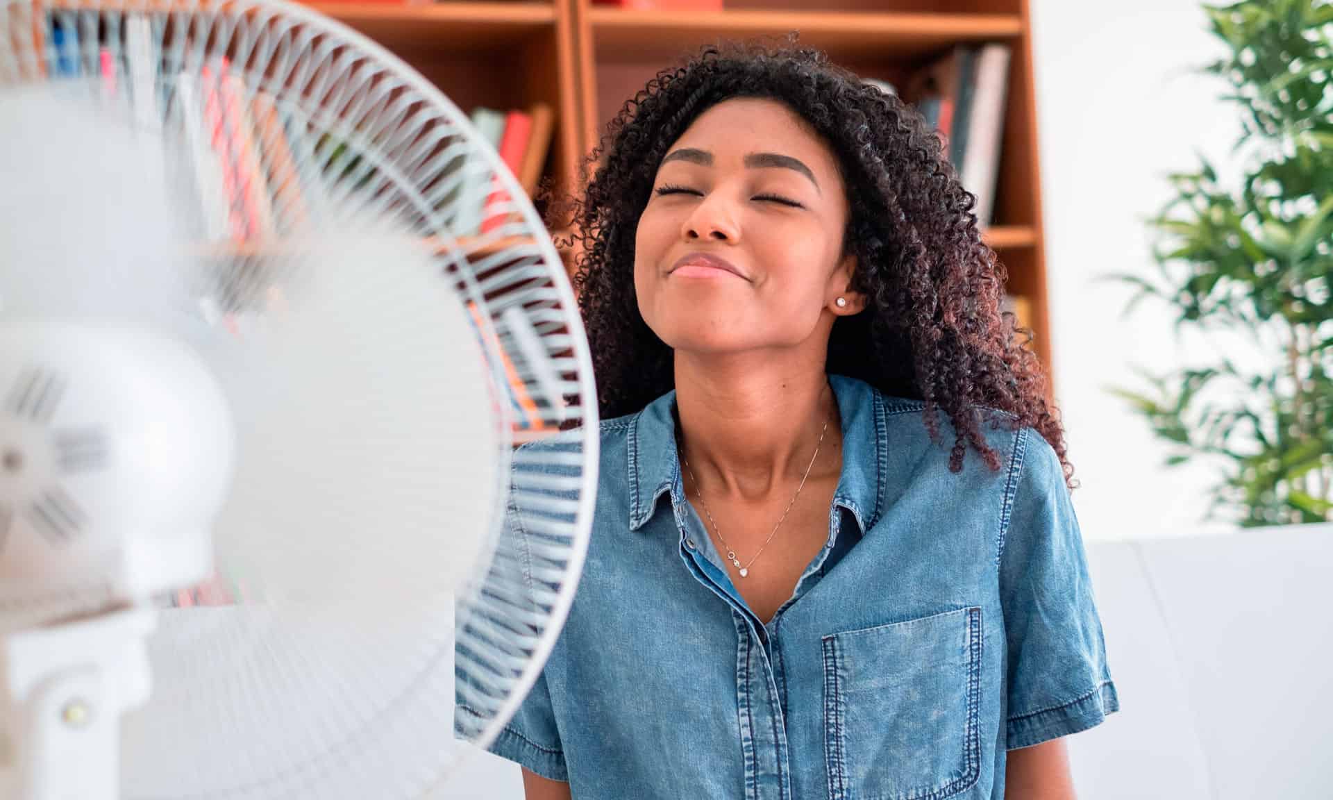 Electric Fan vs. Air Conditioning Power Consumption Which is Cheaper